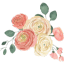 Ranunculus