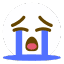 Face 4